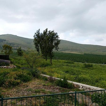 נוריות בגלבוע 1 Villa Nurit Luaran gambar